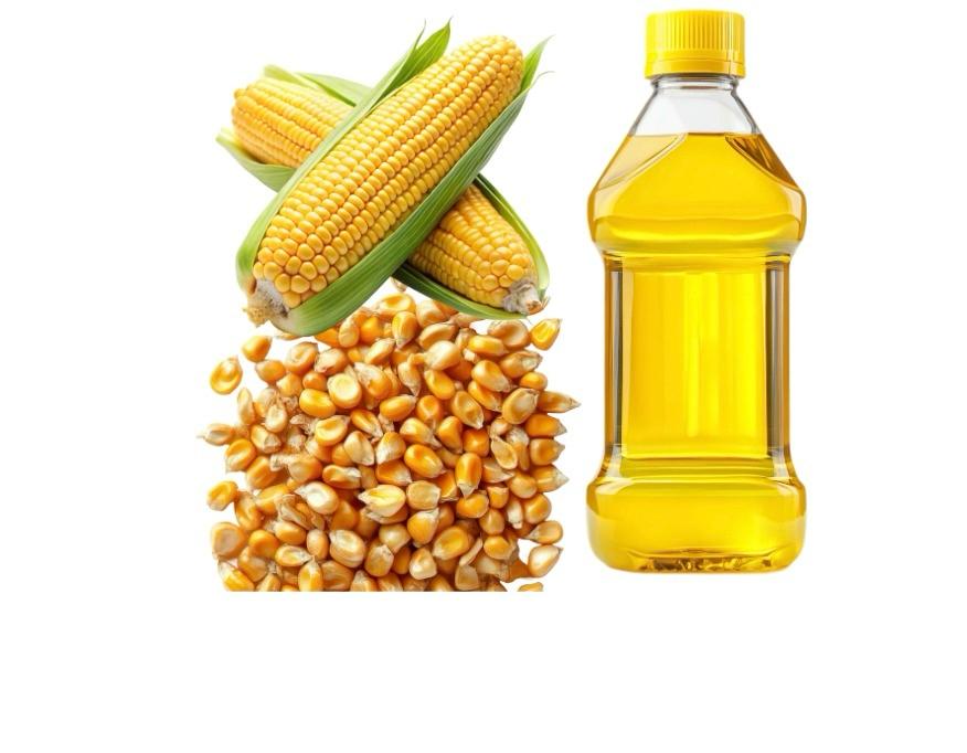Corn Oil