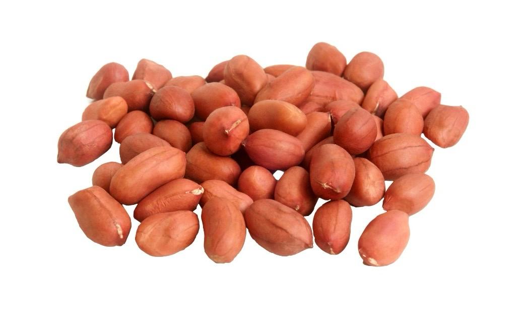 Groundnut Seeds