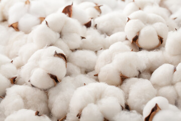 Combed Cotton